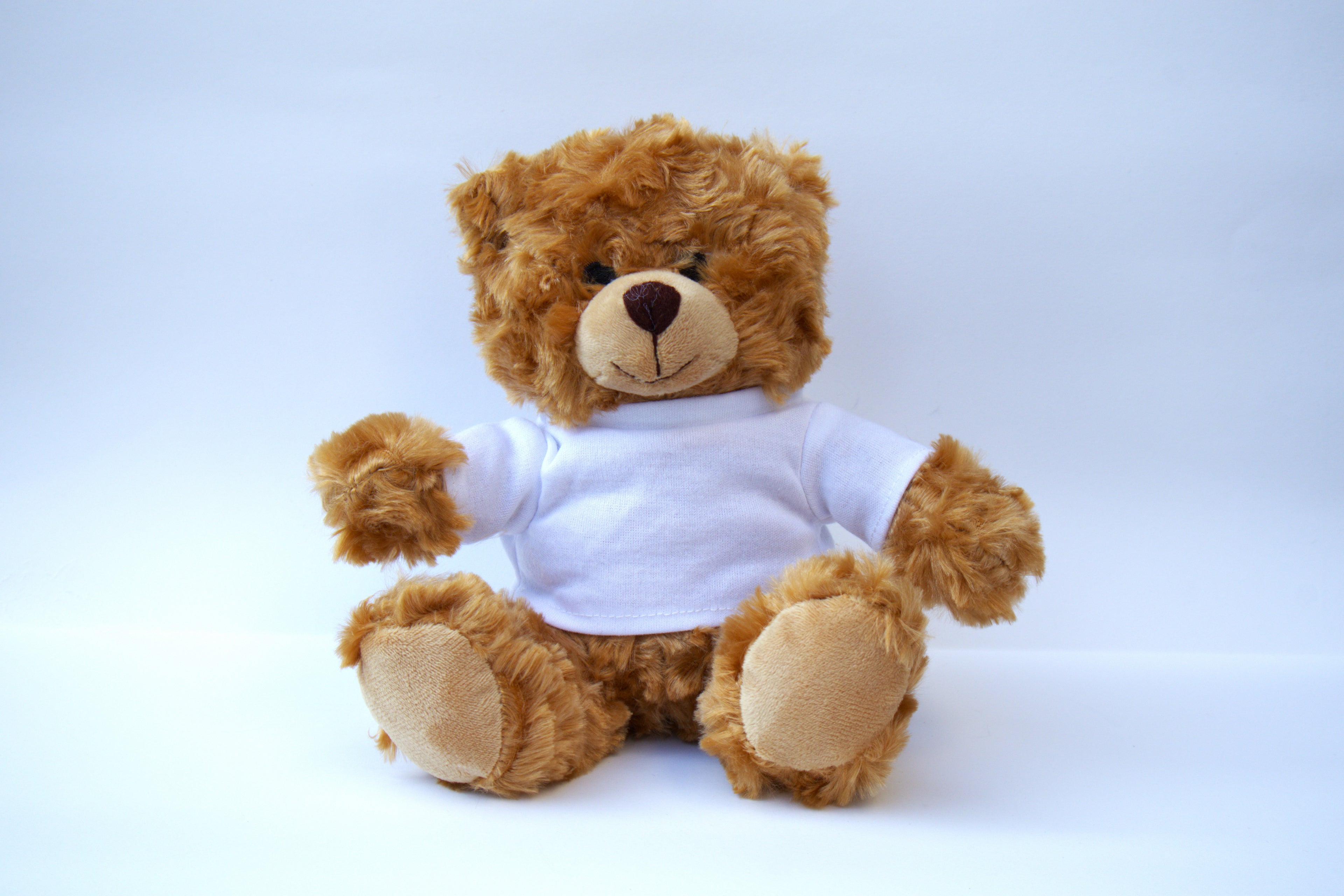 Teddy mit T-Shirt