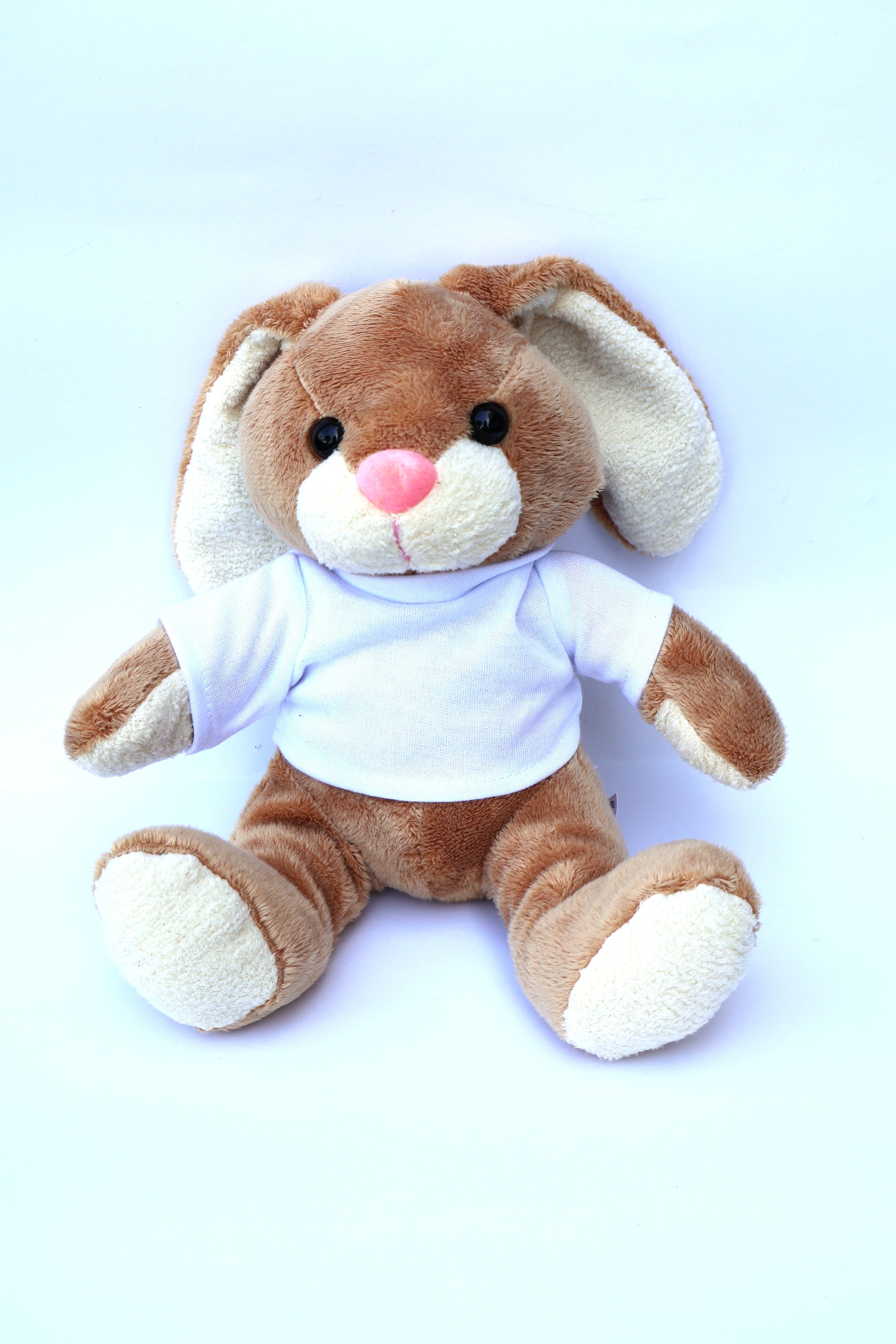 Hase mit T-Shirt